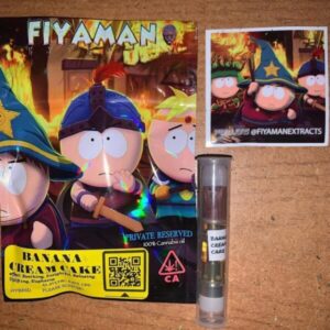 Fiyaman Disposable