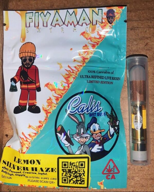 Fiyaman Disposable Fiyaman Disposable